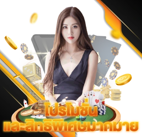 โปรโมชั่น และ สิทธิพิเศษมากมาย